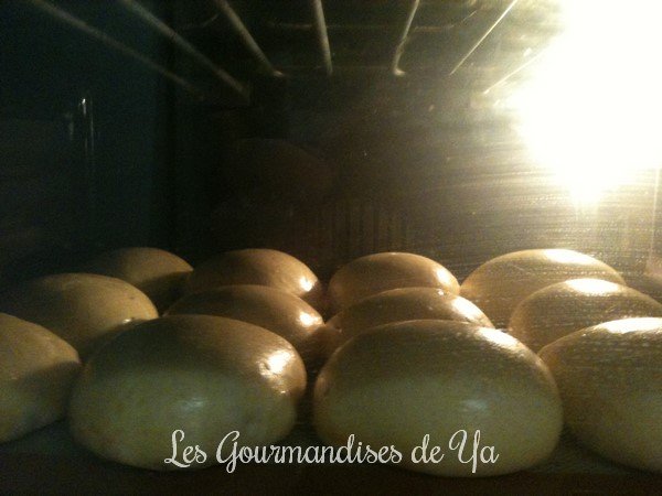 Petit pain au lait LGY 03