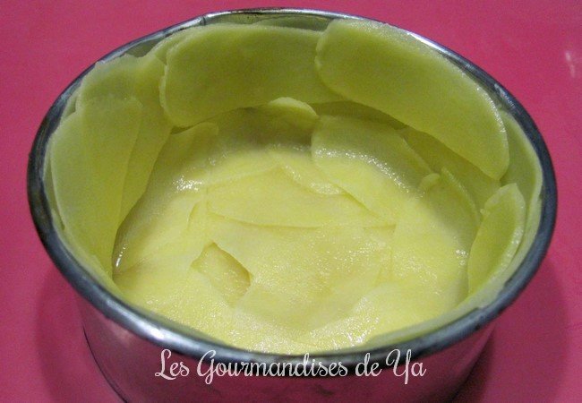 Flan de râpé de la mer en cage de pommes de terre LGY 02
