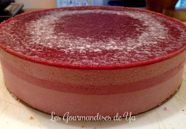 Entremets fraise - framboise et citron LGY 02
