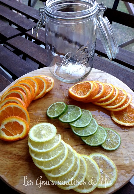 Eau de fruits detox : orange, citron jaune et citron vert LGY 02