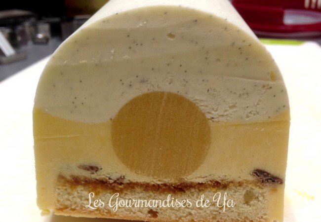 Bûche mangue, passion et vanille LGY 02