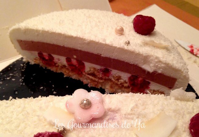 Entremets coco-framboise LGY 02