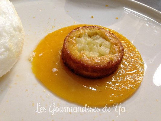 ile-flottante-ananas-mangue-passion-002-lgy