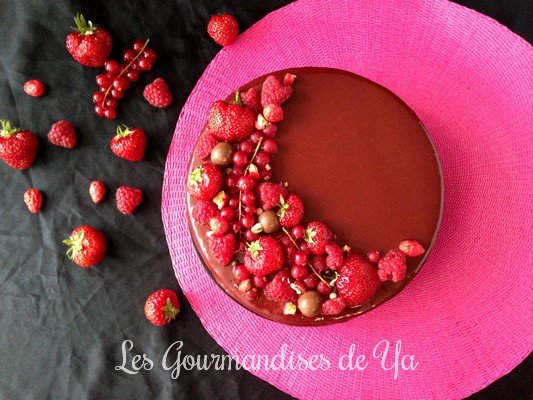 entremets-fruits-rouges-chocolat-noir-022-lgy