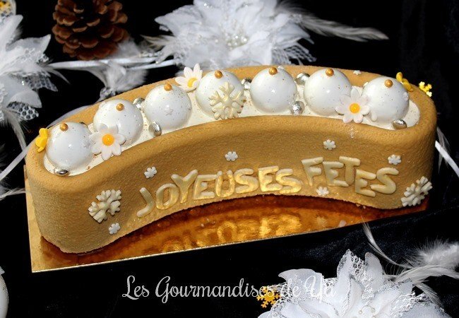 Bûche marron, vanille et cassis LGY 02