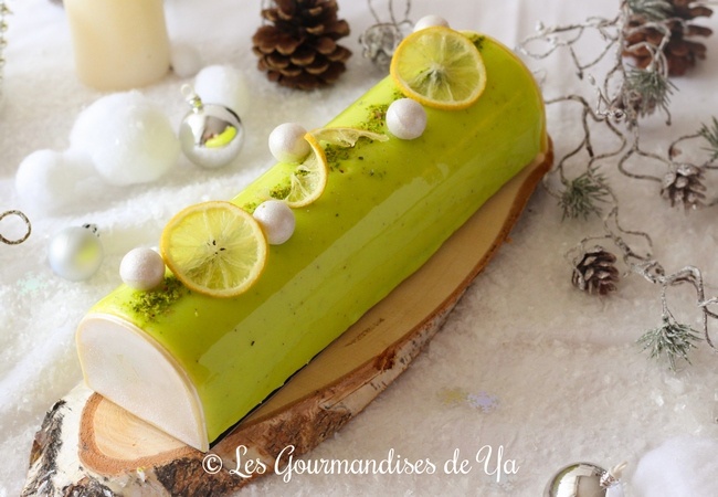 Bûche Citron et Pistache LGY 02