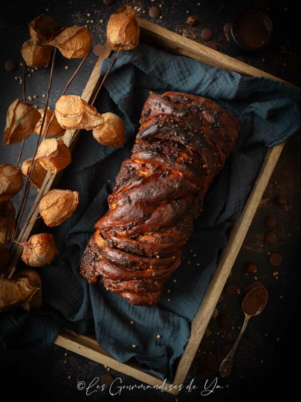 Babka chocolat au lait et praliné sarrasin