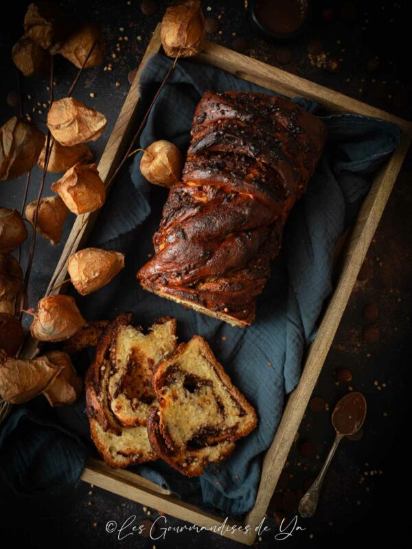 Babka chocolat au lait et praliné sarrasin