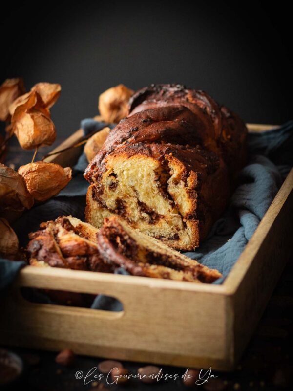 Babka chocolat au lait et praliné sarrasin